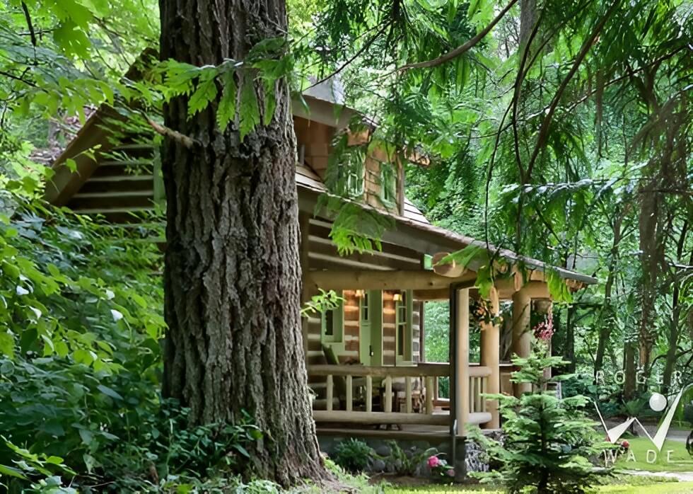 Rustikalna koliba u šumi